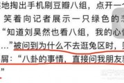 娱乐吃瓜君流量,揭秘流量背后的秘密与真相